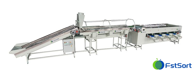 images/1675414586598onion grading machine.jpg